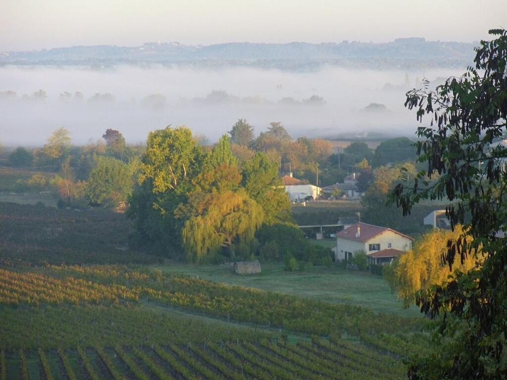 Romantic Gite Nr St Emilion With Private Pool And Views To Die For Pujols  Dış mekan fotoğraf
