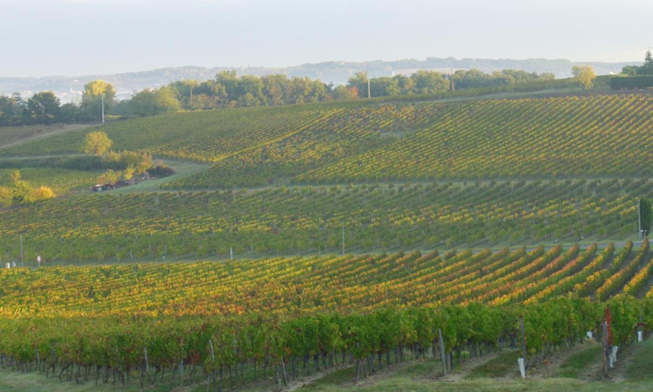 Romantic Gite Nr St Emilion With Private Pool And Views To Die For Pujols  Dış mekan fotoğraf