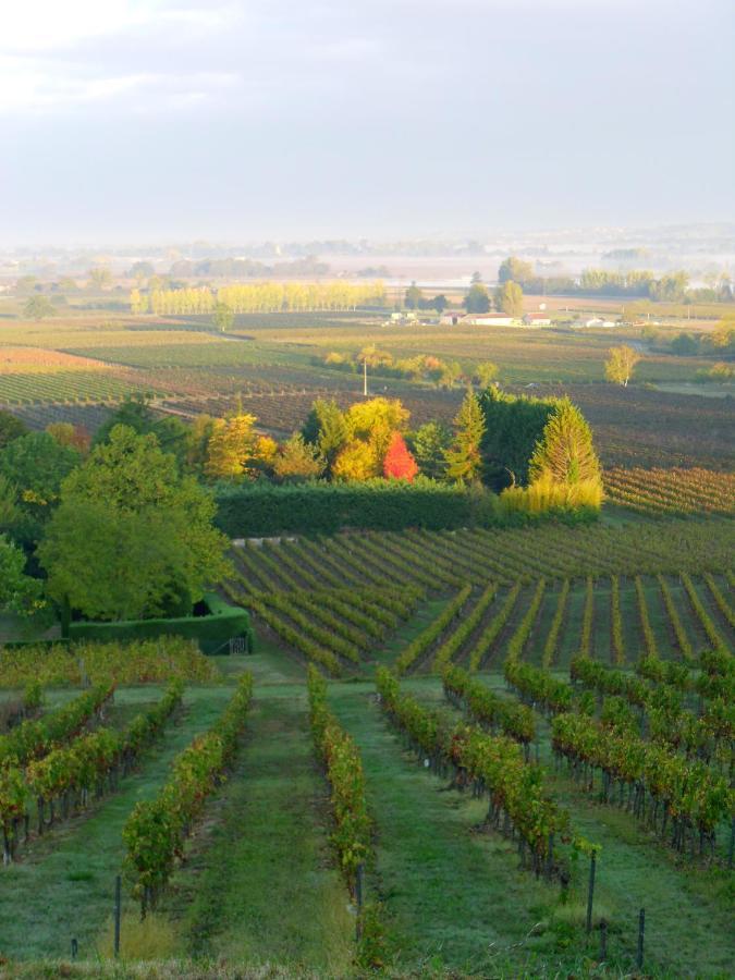 Romantic Gite Nr St Emilion With Private Pool And Views To Die For Pujols  Dış mekan fotoğraf