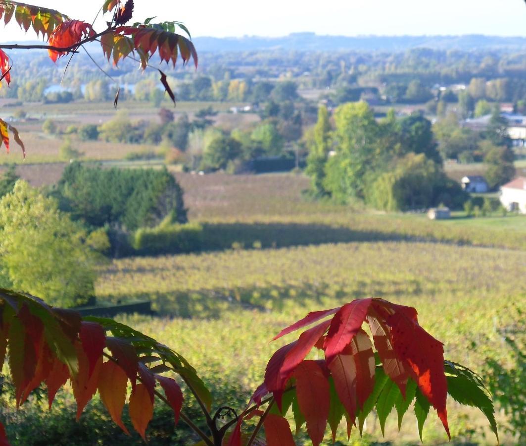 Romantic Gite Nr St Emilion With Private Pool And Views To Die For Pujols  Dış mekan fotoğraf